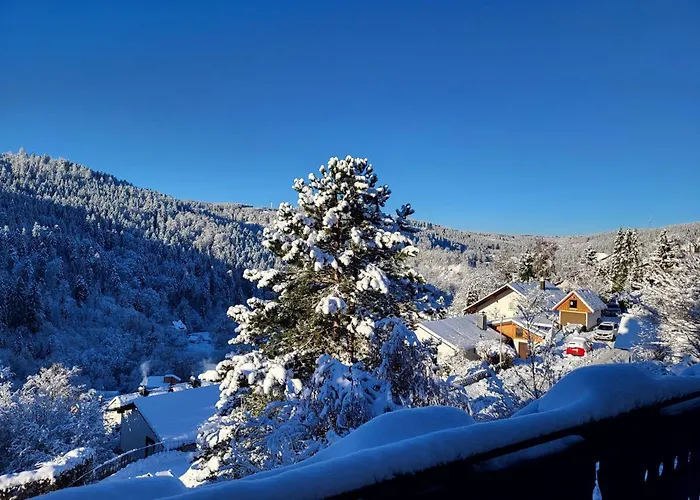 Grosse Ferienwohnung In Ruhiger Lage Mit Toller Aussicht In Triberg
