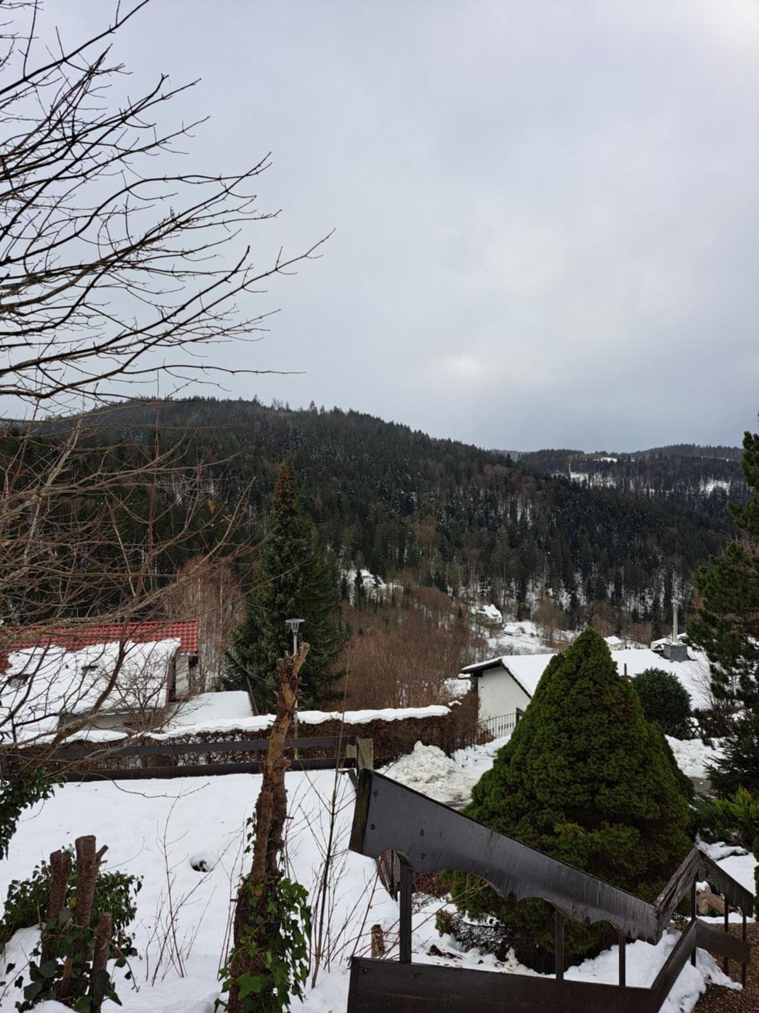 Apartment Grosse In Ruhiger Lage Mit Toller Aussicht In Triberg Triberg im Schwarzwald