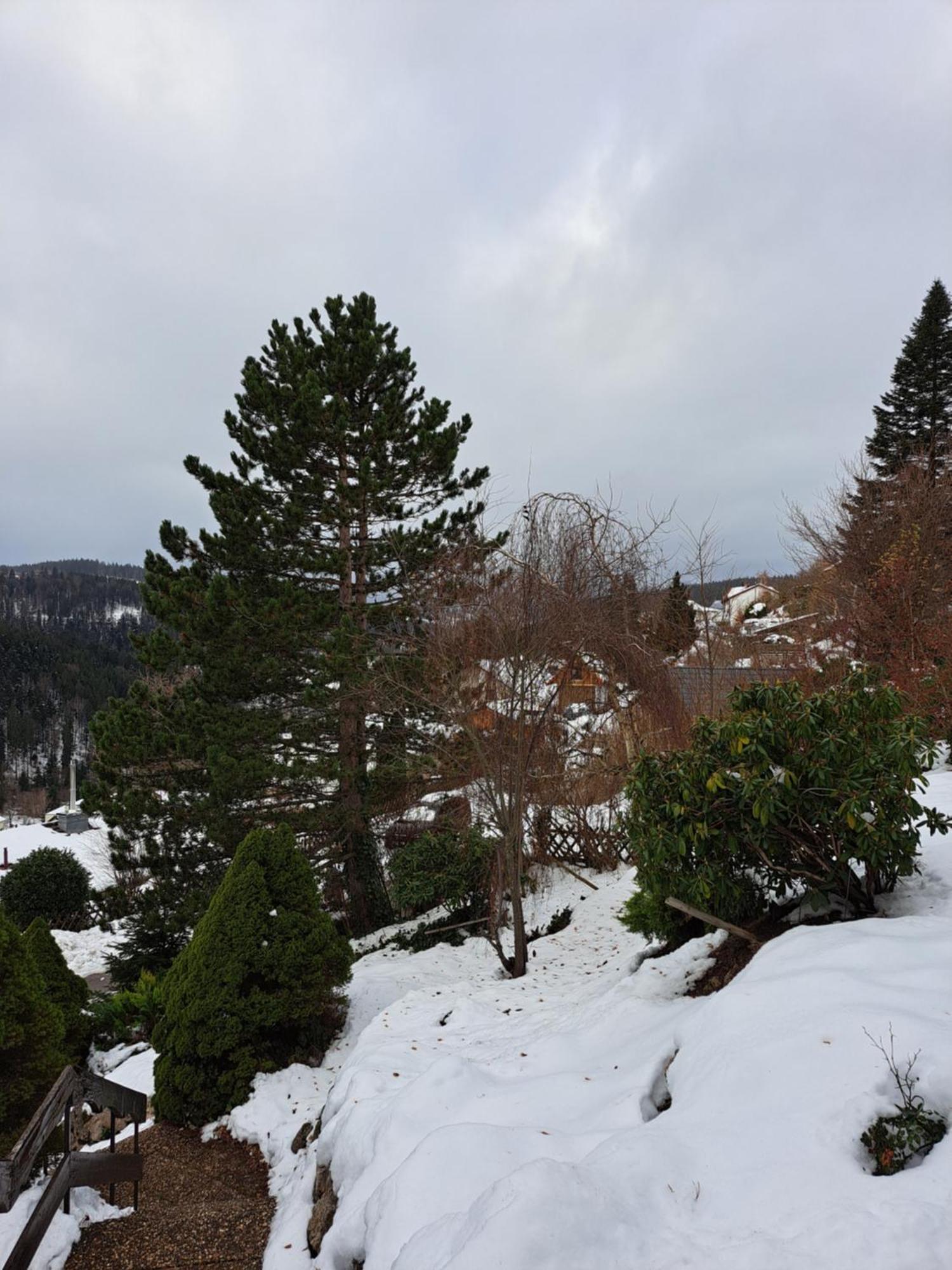 Grosse In Ruhiger Lage Mit Toller Aussicht In Triberg * Triberg im Schwarzwald