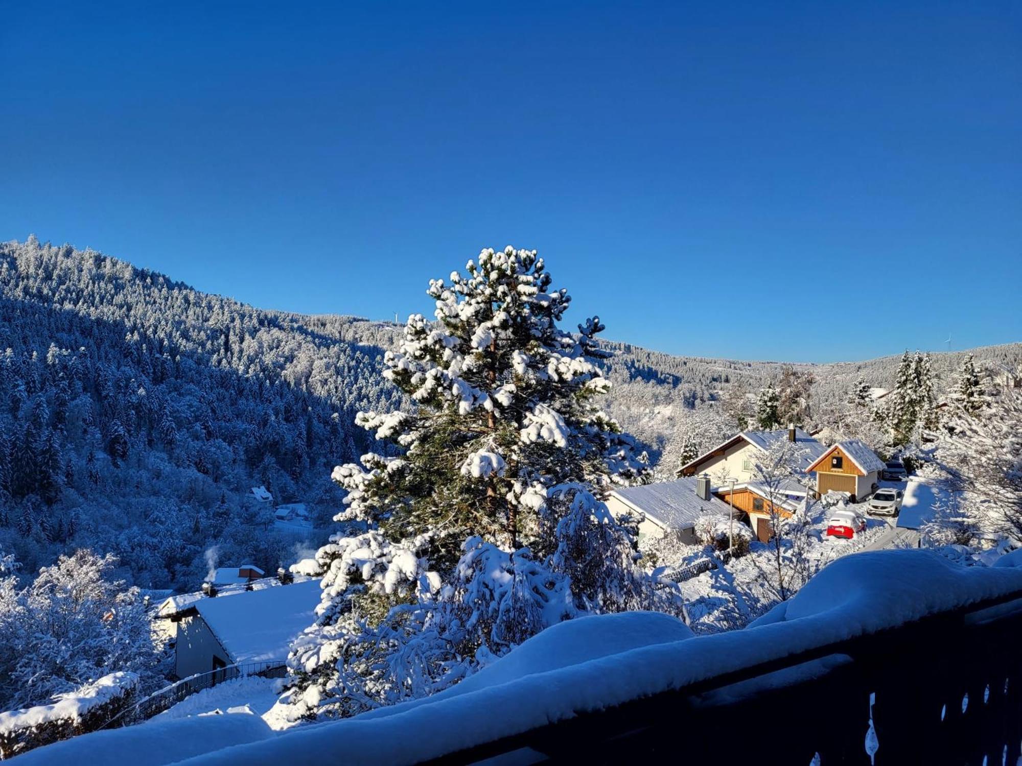 Grosse In Ruhiger Lage Mit Toller Aussicht In Triberg Apartment