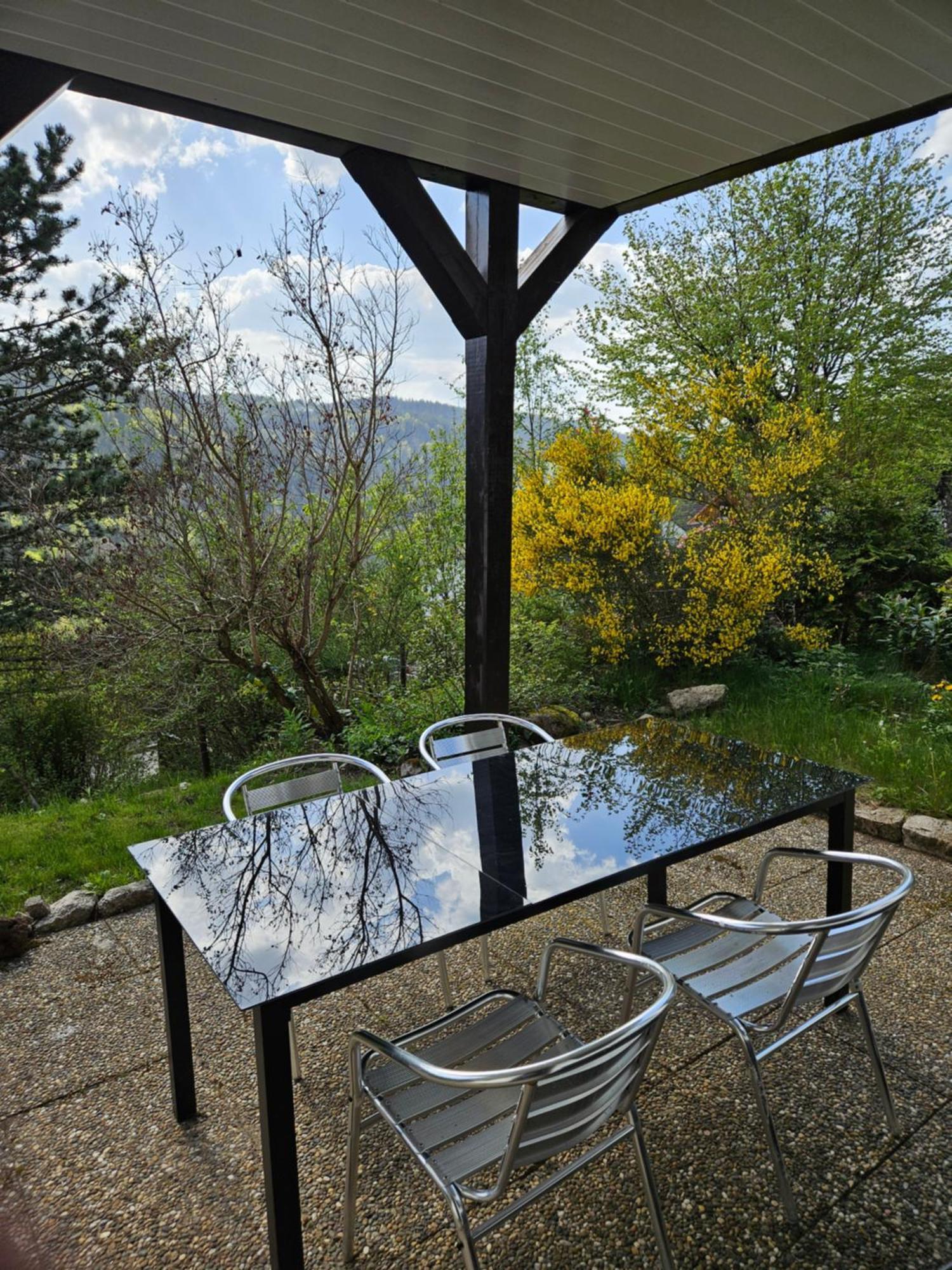 Apartment Grosse In Ruhiger Lage Mit Toller Aussicht In Triberg